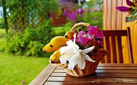 Holiday Homes Quinta Dos Curubas, Vila Franca Do Campo, Sao Miguel, Azores