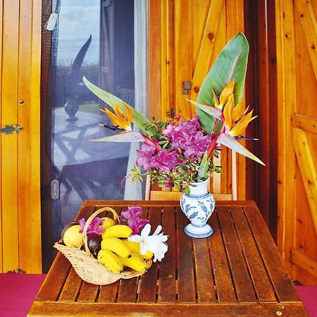 Holiday Homes Quinta Dos Curubas, Vila Franca Do Campo, Sao Miguel, Azores Extérieur photo
